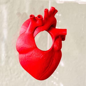 May include: A bright red anatomical heart model featuring a prominent circular cutout in the center. The surface displays visible horizontal layer lines characteristic of 3D printing, with detailed vascular structures at the top of the organ.