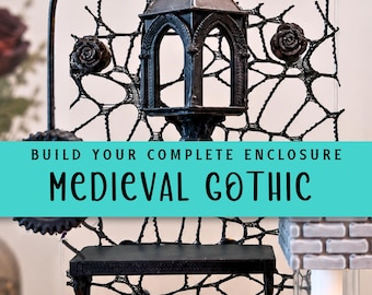 Complete Gothic Enclosure Bundle | Jumping Spider Decor | Hide, Ledge, Climb, Enrichment & Bioactive