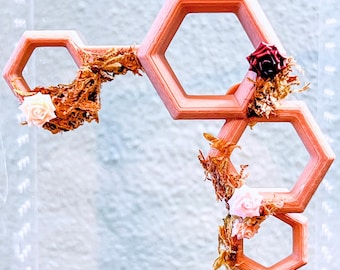 Floral Hexagon Climber | Jumping Spider Gym | Enchanted Woodland Habitat Decor