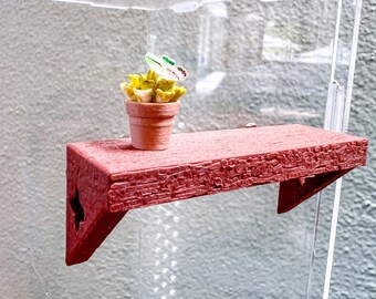 Jumping Spider Wood Shelf with Plant | Natural Enclosure Decor | Succulent or Flower Enrichment