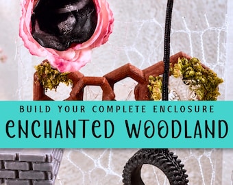 Complete Enclosure Essential Bundle | Jumping Spider House | Enchanted Woodland Decor