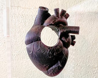 Piel en forma de corazón para araña saltarina / Decoración gótica anatómica / Accesorio para terrario