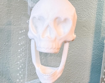 Escondite con forma de corazón y calavera / Accesorio para terrario de araña saltarina / Decoración gótica para hábitat de mascotas