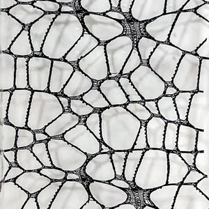 May include: A black lace fabric featuring an irregular, web-like pattern of interconnected threads. The design consists of varied geometric shapes and open spaces, creating a textured, net-like appearance across the entire surface of the material.
