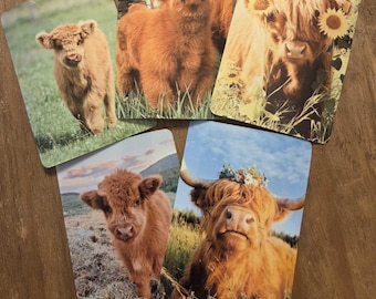 Pegatinas personalizadas (paquete de 6)