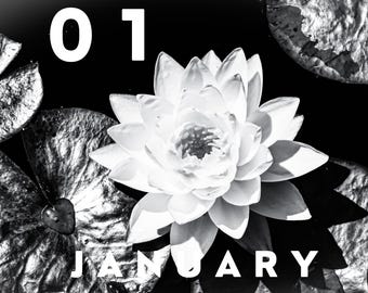 BOTANY CALENDAR 2027