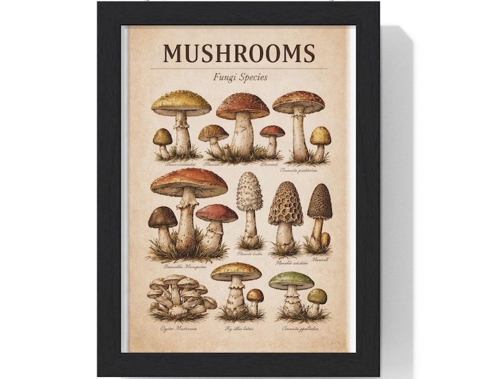 Mushrooms Fungi Species Poster | Vertical Framed Poster, Botanical Wall Art