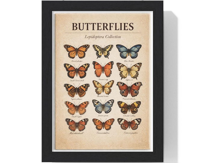 Butterflies Lepidoptera Chart Poster | Vertical Framed Poster