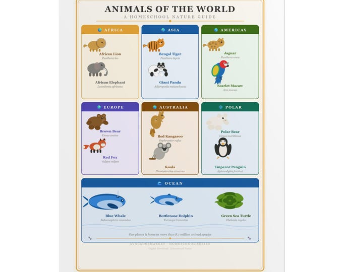 Animals of the World educational poster Rolled Posters | children nursery wall art