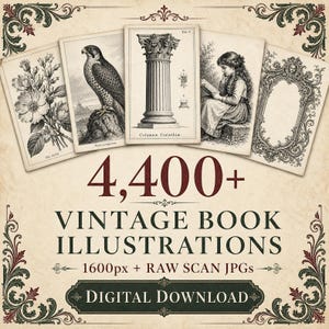 May include: A collection of 4,400+ vintage book illustrations featuring black and white engravings of flowers, a falcon, a Corinthian column, a person reading, and an ornate frame. The text reads 4,400+ VINTAGE BOOK ILLUSTRATIONS 1600px + RAW SCAN JPGs DIGITAL DOWNLOAD.