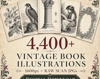 May include: A collection of 4,400+ vintage book illustrations featuring black and white engravings of flowers, a falcon, a Corinthian column, a person reading, and an ornate frame. The text reads 4,400+ VINTAGE BOOK ILLUSTRATIONS 1600px + RAW SCAN JPGs DIGITAL DOWNLOAD.