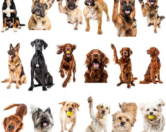 230+ Dog Clipart Bundle | Cute Puppy PNG Digital Download | Printable Dog Illustrations for Scrapbook, Planner, Sticker & DIY Crafts