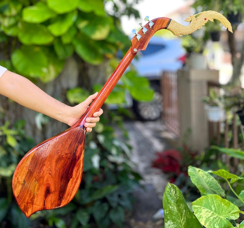 Isan Instruments Thai Phin Electric Acoustic | Isan Folk String Instrument | Handmade in ...