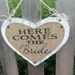 see more listings in the Ring bearer Flower girl section