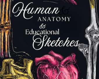 Anatomie des Menschen Erwachsenen Malbuch | Anatomie Skizzen & Ausmalbilder | Druckbare Studie Kunst | A4 PDF Sofortdownload