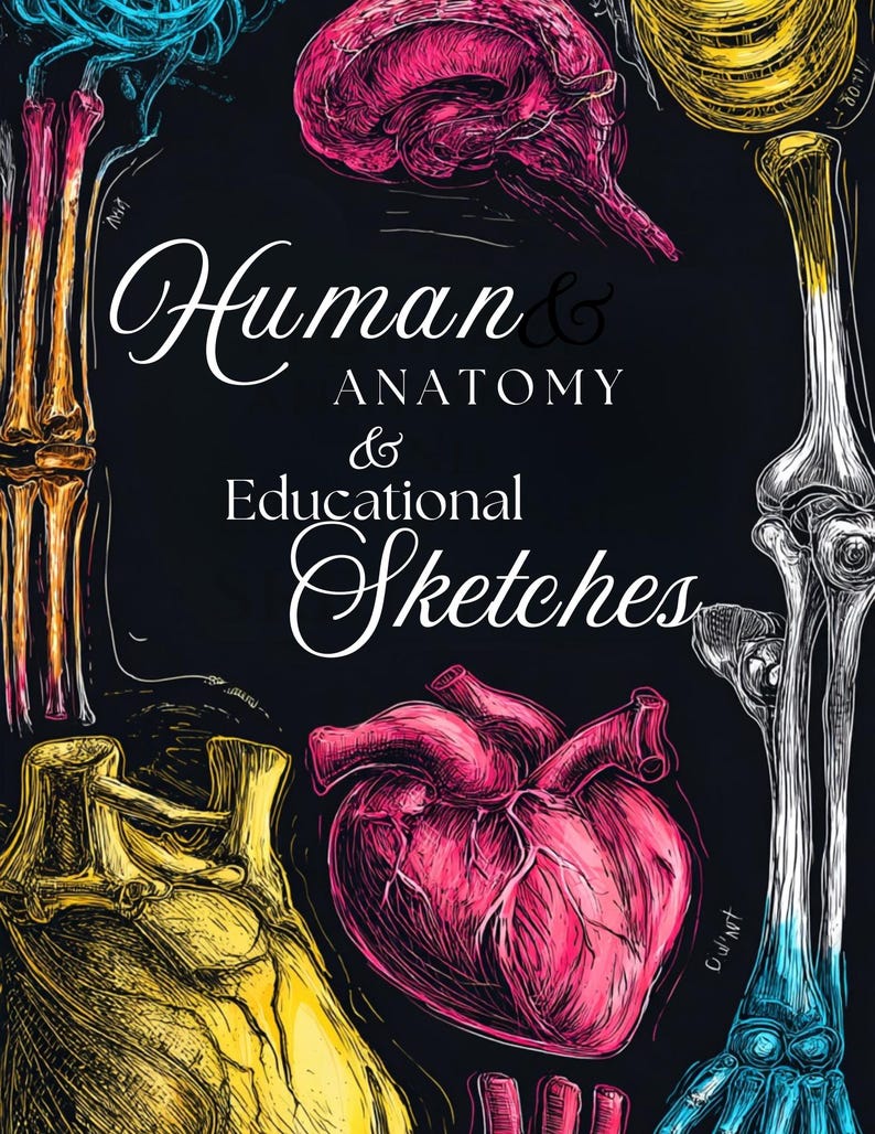 Human Anatomy Adult Coloring Book | Anatomy Sketches & Educational ...