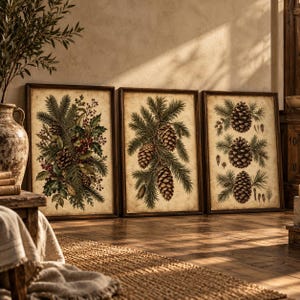 May include: Three rectangular framed wall art prints featuring botanical illustrations on a vintage-style background. The left print shows pine branches with berries and cones, the center shows pine branches with cones, and the right shows pine cones.