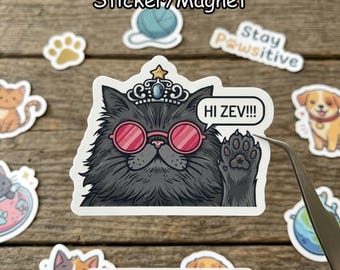 May include: A collection of stickers and magnets featuring cartoon cats and dogs. The central sticker shows a gray cat wearing pink sunglasses and a crown, with the text "HI ZEV!!!" in a speech bubble. Other stickers include paw prints and a ball of yarn.