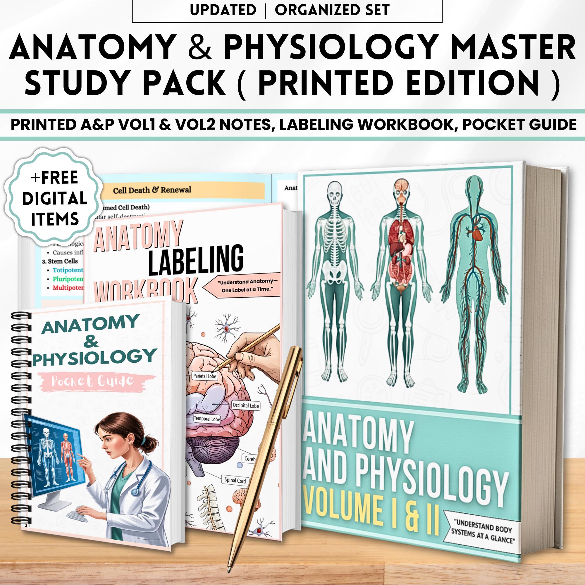Anatomy Physiology Study Pack Physical Book | A&P Vol 1 2 Pocket Guides ...