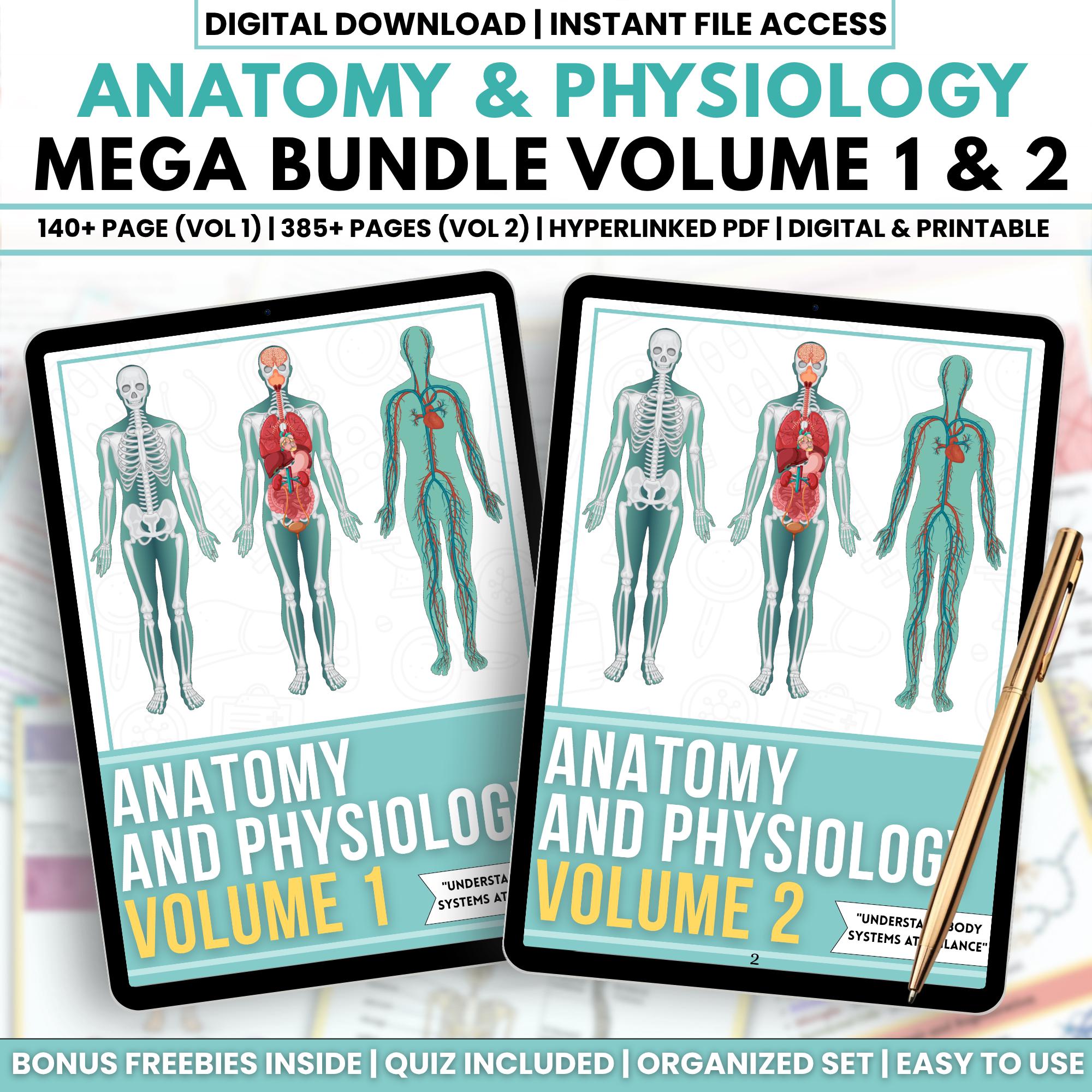 Anatomy and Physiology Mega Bundle Printable | A&P Study Guide, Nursing ...