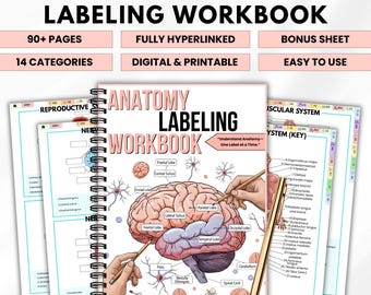 Anatomy Labeling Workbook PDF | Nursing Student Study Guide | Anatomy Worksheets & Practice Sheets | Instant Download