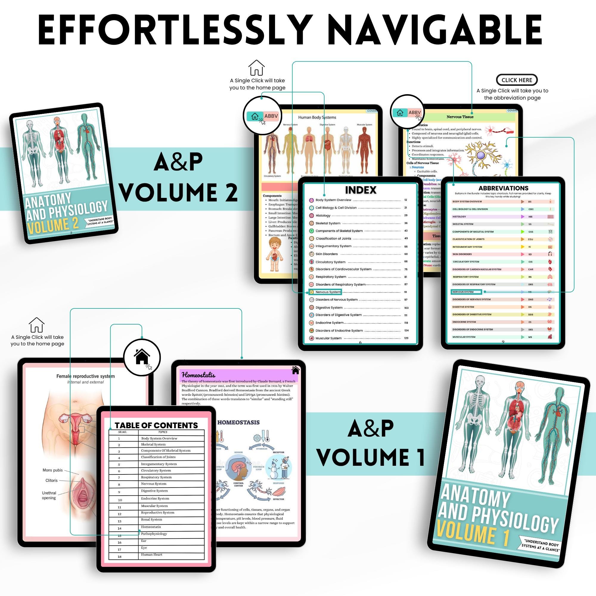 Anatomy and Physiology Mega Bundle Printable | A&P Study Guide, Nursing ...