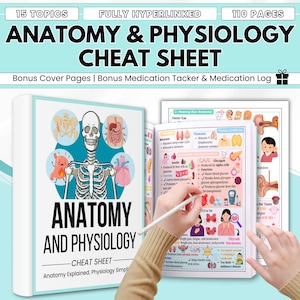 以下が含まれることがあります： 110ページの解剖学と生理学のチートシート。表紙には骨格と内臓が描かれています。開かれたページには、甲状腺や聴覚の解剖学など、人体の詳細な図とテキストが表示されています。