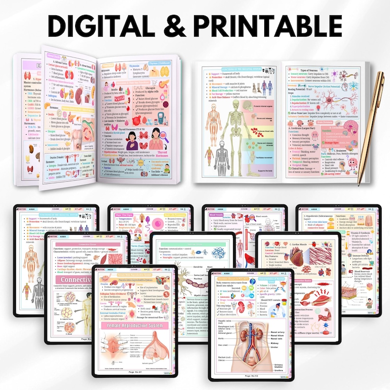 Anatomy Physiology Study Guide Hyperlinked | Nursing Notes PDF | A&P ...