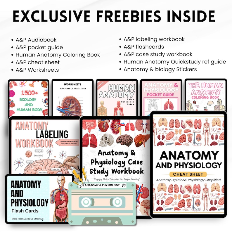 Anatomy and Physiology Mega Bundle Printable | A&P Study Guide, Nursing ...