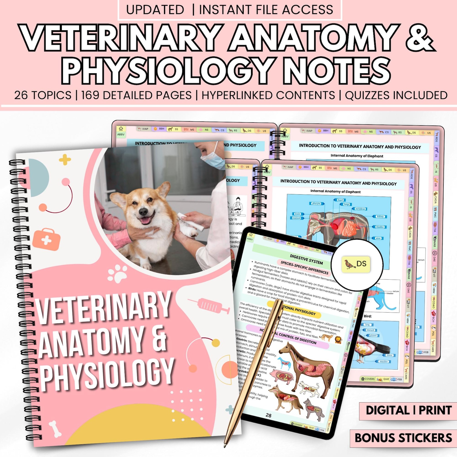 Vet Docnotes Veterinary Anatomy Notes | Digital Vet Medicine Study Guide | Animal ...