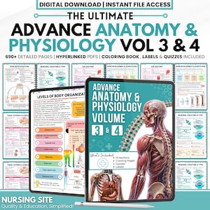 May include: A digital anatomy and physiology study guide, volumes 3 and 4, featuring 690+ pages, hyperlinked PDFs, coloring pages, labels, and quizzes. The cover displays a human muscular and skeletal system illustration with teal and white text.