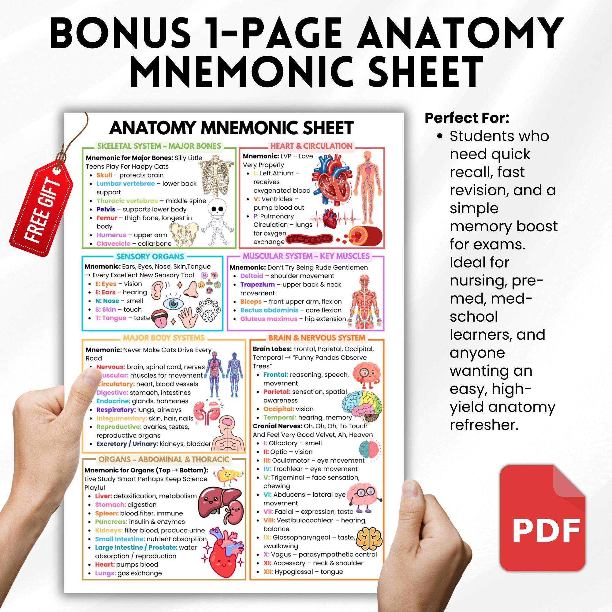Anatomy Labeling Workbook PDF | Nursing Student Study Guide | Anatomy ...
