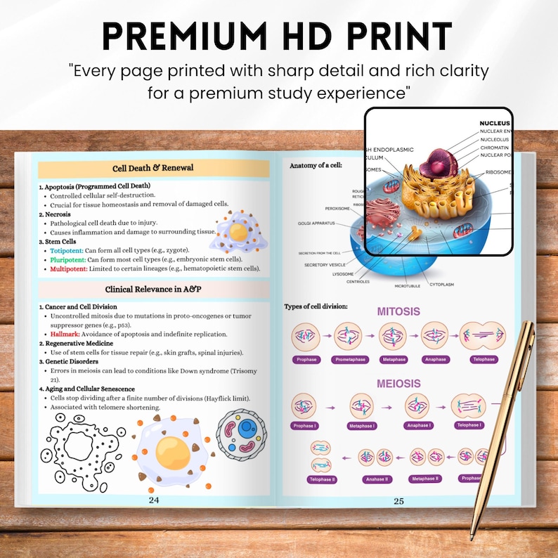 Anatomy and Physiology Bundle Vol. 1 2, Human Body Study Guide ...