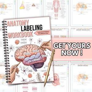 Anatomy Labeling Workbook PDF | Nursing Student Study Guide | Anatomy ...