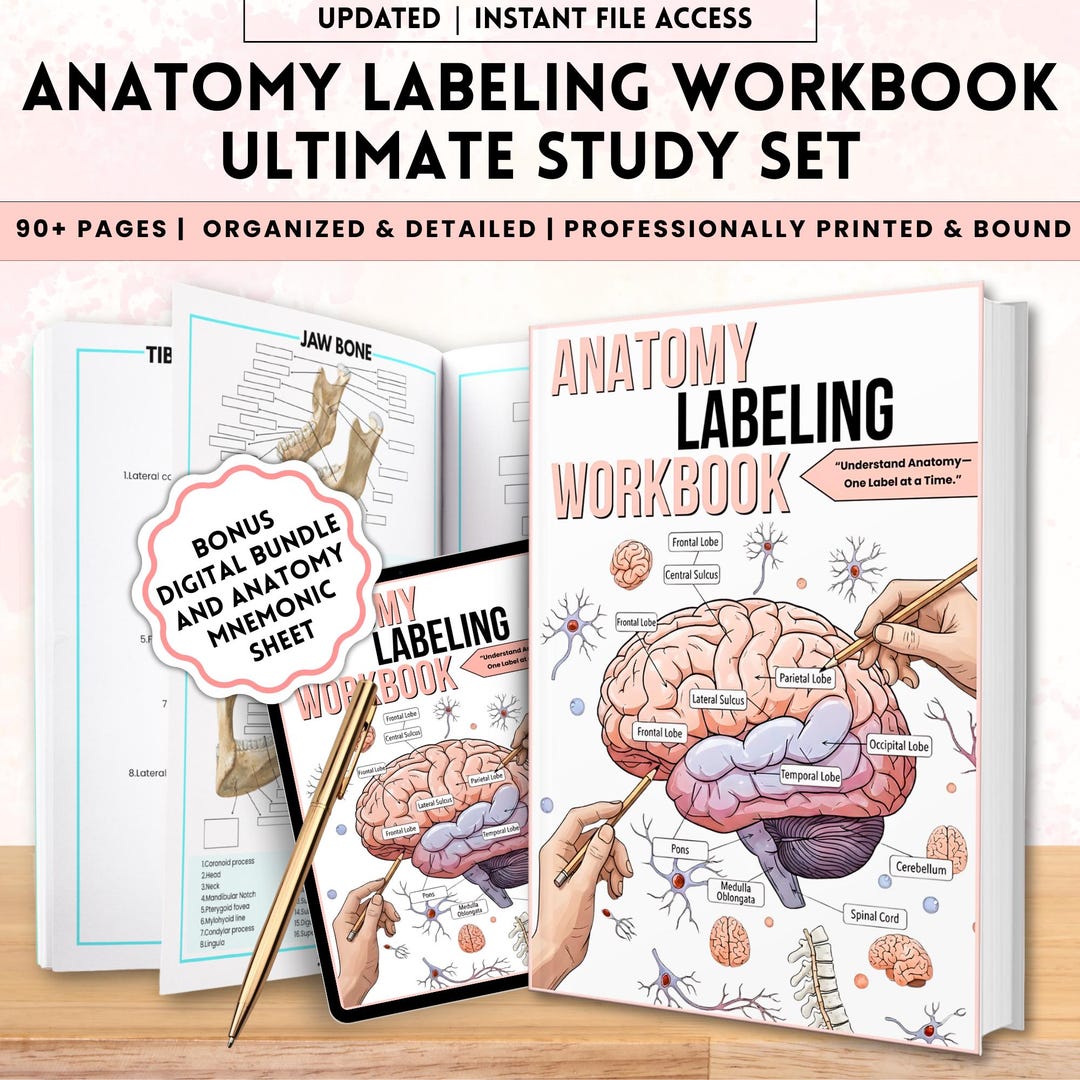 Anatomy Labeling Workbook | Human Anatomy Study Guide Physical Book ...