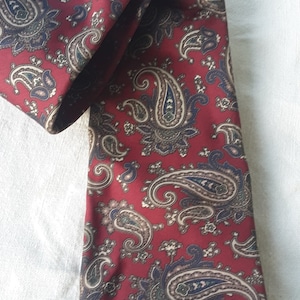 Reid St James Silk Paisley tie//Vintage Men's necktie//business SILK tie//1970s Paisley colorful, mod