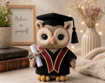 Crochet Owl Graduation Plush, Handmade Amigurumi Owl Doll, Cute Graduation Gift, Student Keepsake, Owl Lover Gift
