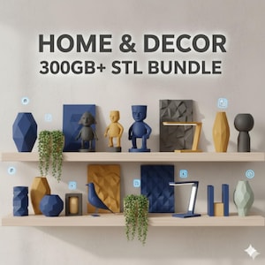 Puede incluir: Artículos de decoración del hogar exhibidos en dos estantes de madera. Los artículos incluyen jarrones geométricos, figuras, arte mural, una escultura de pájaro y una lámpara de escritorio. El texto "HOME & DECOR 300GB+ STL BUNDLE" se muestra arriba.