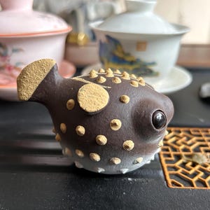 Kugelfisch Tea Haustier - Sammlerstück