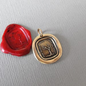 Mourning Wax Seal Charm My Love Lasts After Death Antique Seal Jewelry Pendant Dead Tree French Motto image 9