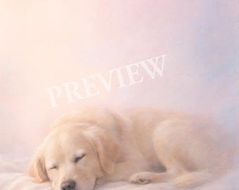 Tarjetas conmemorativas para perros sin texto • Conjunto de arte imprimible digital de Rainbow Bridge Pet Loss