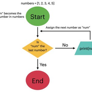 May include: A flowchart diagram with a green "Start" circle, a yellow diamond, a teal parallelogram, and a red "End" circle. The diagram shows the steps to print numbers from a list: 1, 2, 3, 4, and 5.