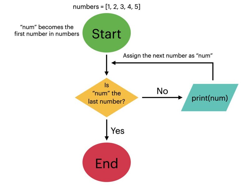 May include: A flowchart diagram with a green "Start" circle, a yellow diamond, a teal parallelogram, and a red "End" circle. The diagram shows the steps to print numbers from a list: 1, 2, 3, 4, and 5.