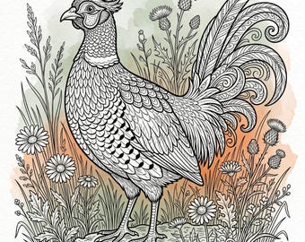 Majestätisch Fasan Malbuch | Detaillierte Naturseiten, Wildtiere zum Ausdrucken (Digitaler Download)