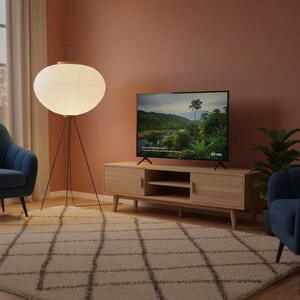 May include: A living room scene featuring a light wood TV stand with a flat-screen TV displaying a nature scene. A large paper lantern floor lamp stands to the left, and a patterned rug covers the floor. Two blue armchairs are visible.