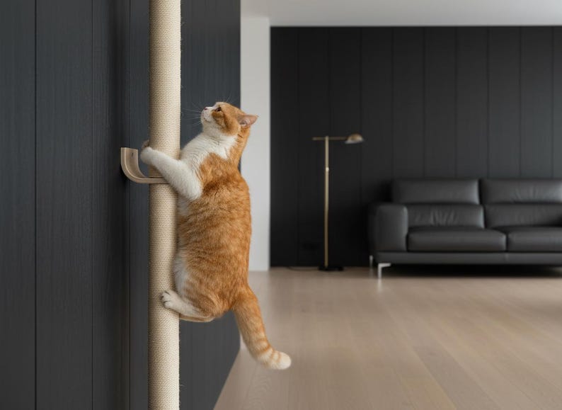 May include: An orange and white cat climbing a beige cat scratching post attached to a dark gray wall. The cat is mid-climb, with its paws gripping the post. The background includes a black sofa and a floor lamp.