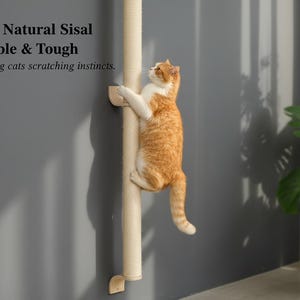 May include: A cat climbing a sisal scratching post attached to a gray wall. The post is beige and has wooden supports. Text on the wall reads "100% Natural Sisal Durable & Tough Satisfying cats scratching instincts."