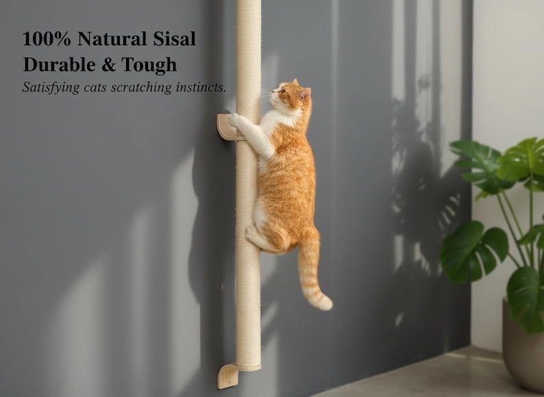 May include: A cat climbing a sisal scratching post attached to a gray wall. The post is beige and has wooden supports. Text on the wall reads "100% Natural Sisal Durable & Tough Satisfying cats scratching instincts."