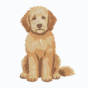 Peut inclure: Un motif de broderie représentant un chien de couleur dorée assis, tourné vers l'avant. Le chien présente des motifs de fourrure texturés dans des tons de brun et de beige, avec des yeux brun foncé, un museau foncé et des oreilles tombantes.