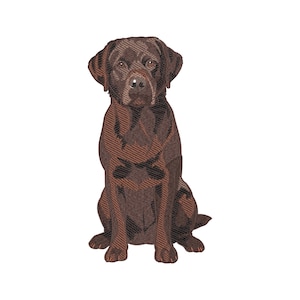 Desenho de Bordado de Labrador Chocolate: Retrato de um lindo cãozinho Labrador marrom, arquivo para bordado à máquina, ideal para aplicar em toalhas, bolsas, sacolas e bolsos de camisas (PES DST JEF)